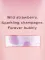 Лосьйон для тіла Strawberries & Champagne 236ml new Victoria's Secret